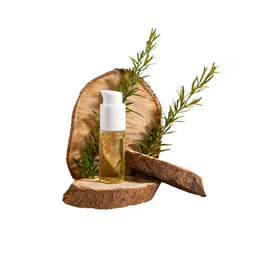 های عطار - فروشگاه های عطار بزرگترین پخش انواع ادویه و دمنوش در ایران