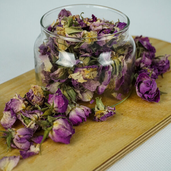 گل سرخ دارویی