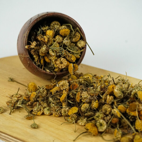 خرید بابونه