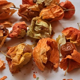 عروسک پشت پرده(کاکنج)