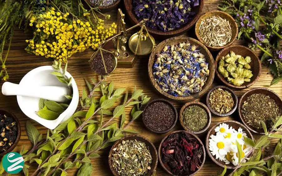 های عطار - فروشگاه های عطار بزرگترین پخش انواع ادویه و دمنوش در ایران گیاهان دارویی برای درمان کبد چرب