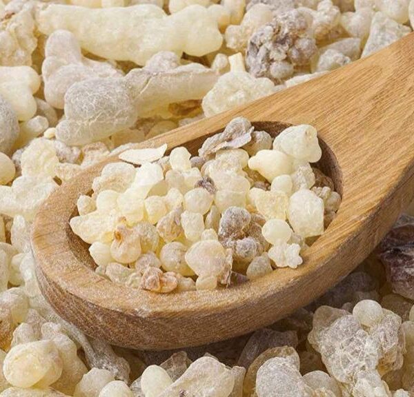 سقز سفید چیست و چه خواصی دارد؟