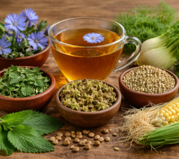 گیاهان دارویی برای درمان کبد چرب