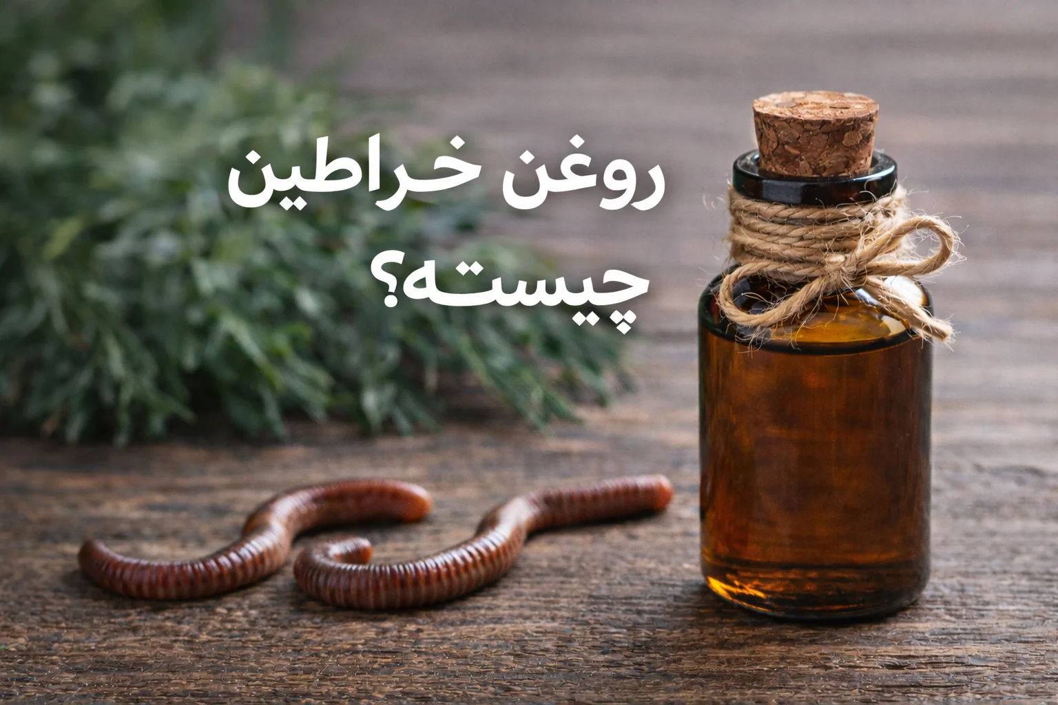 های عطار - های عطار بزرگترین پخش انواع ادویه و دمنوش در ایران روغن خراطین چیست