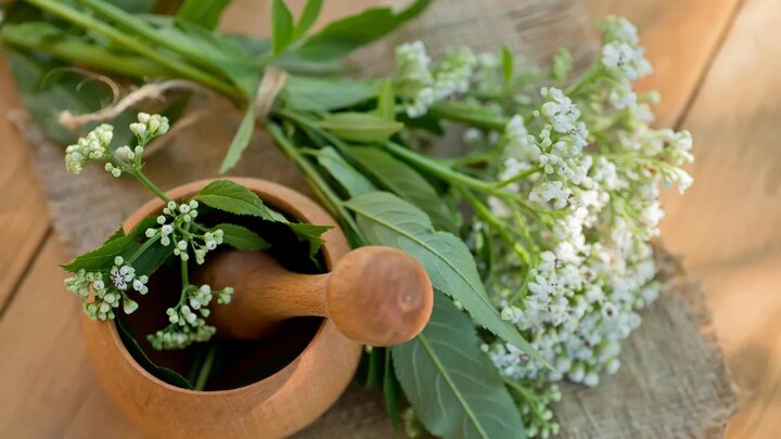 های عطار - های عطار بزرگترین پخش انواع ادویه و دمنوش در ایران سنبل الطیب